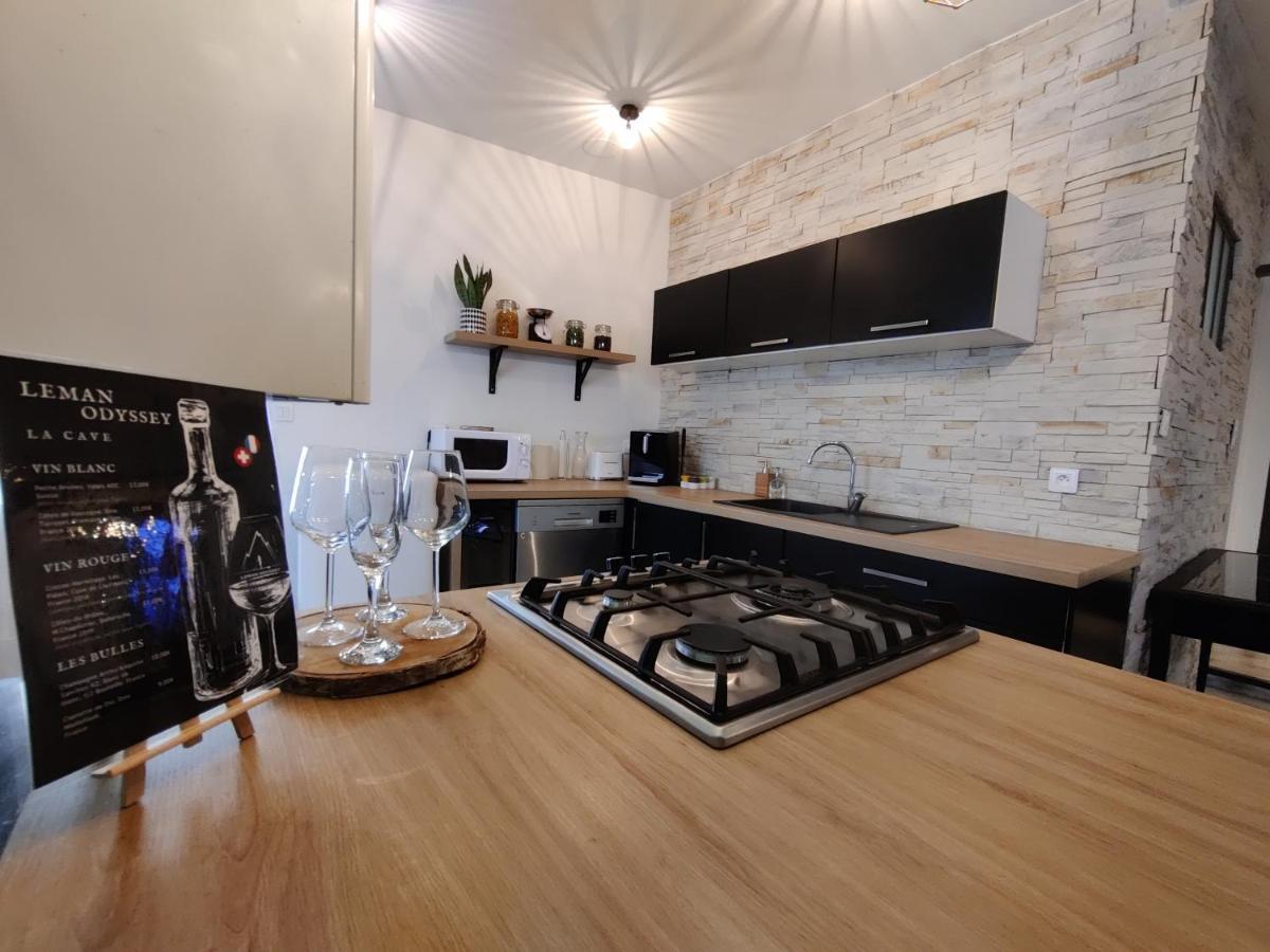 Appartement Hyper Centre Evian - Leman Odyssey Экстерьер фото